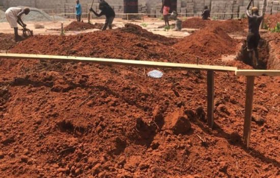 It is a long established fact that a reader